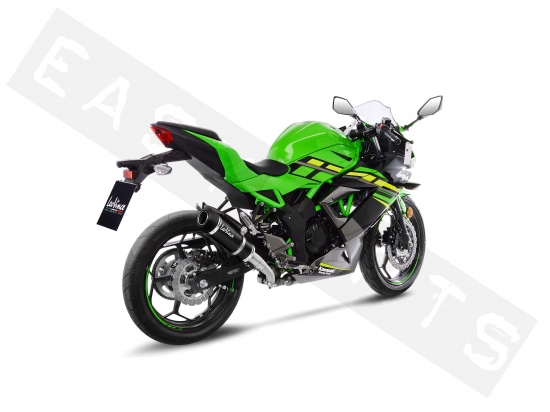 Auspuff LEOVINCE GP-ONE EVO Carbon Ninja/ Z125 E4 2019-2020 (Racing)